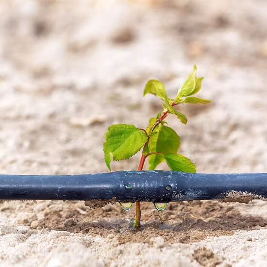 16 мм линейный самостоятельный